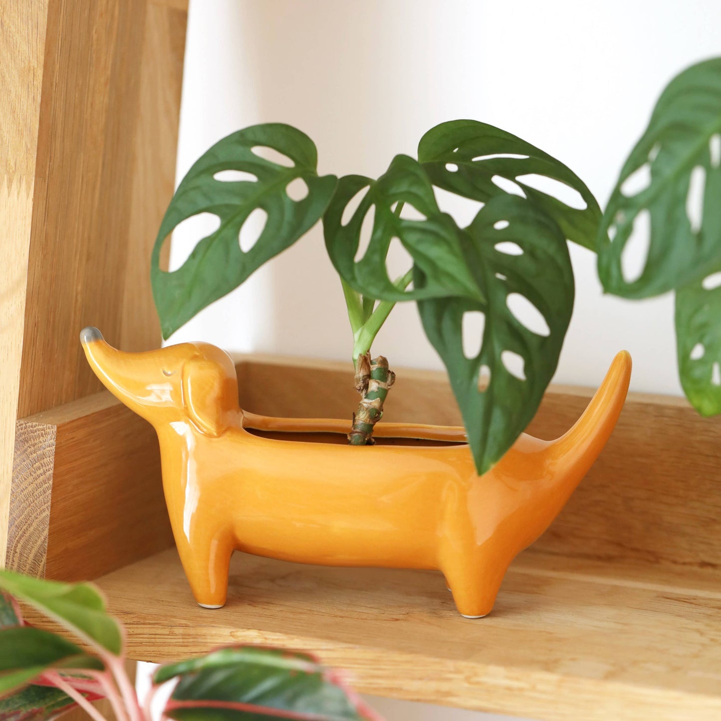 Mr. Dachshund Dog Planter