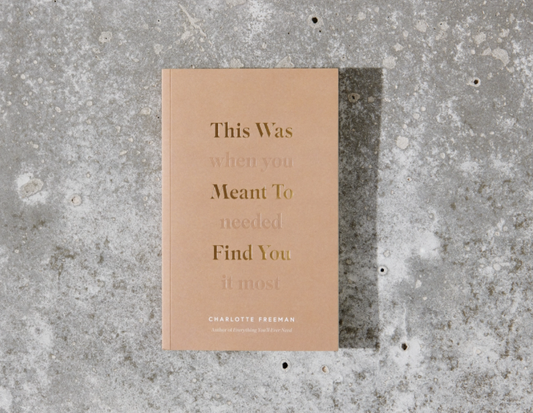 This Was Meant To Find You (When You Needed It Most) | Book