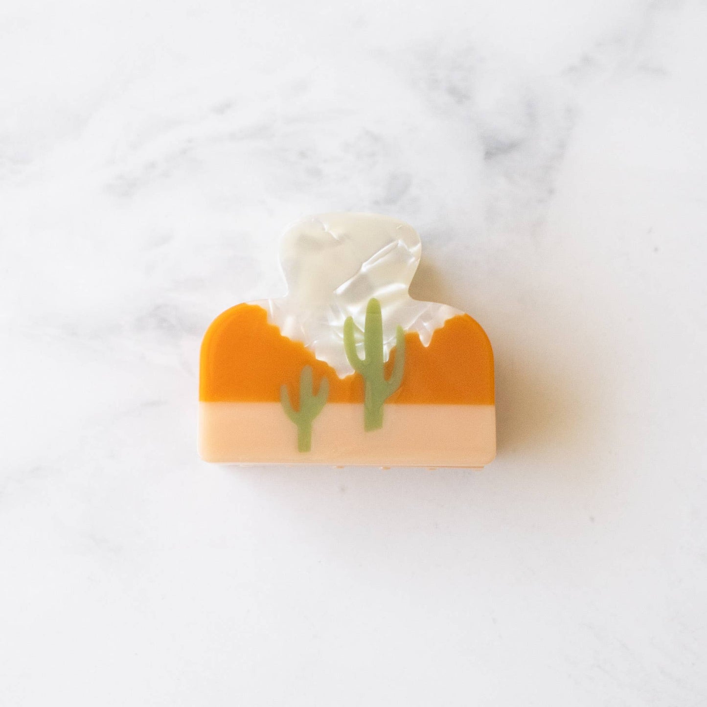 Desert Cactus Hair Clip