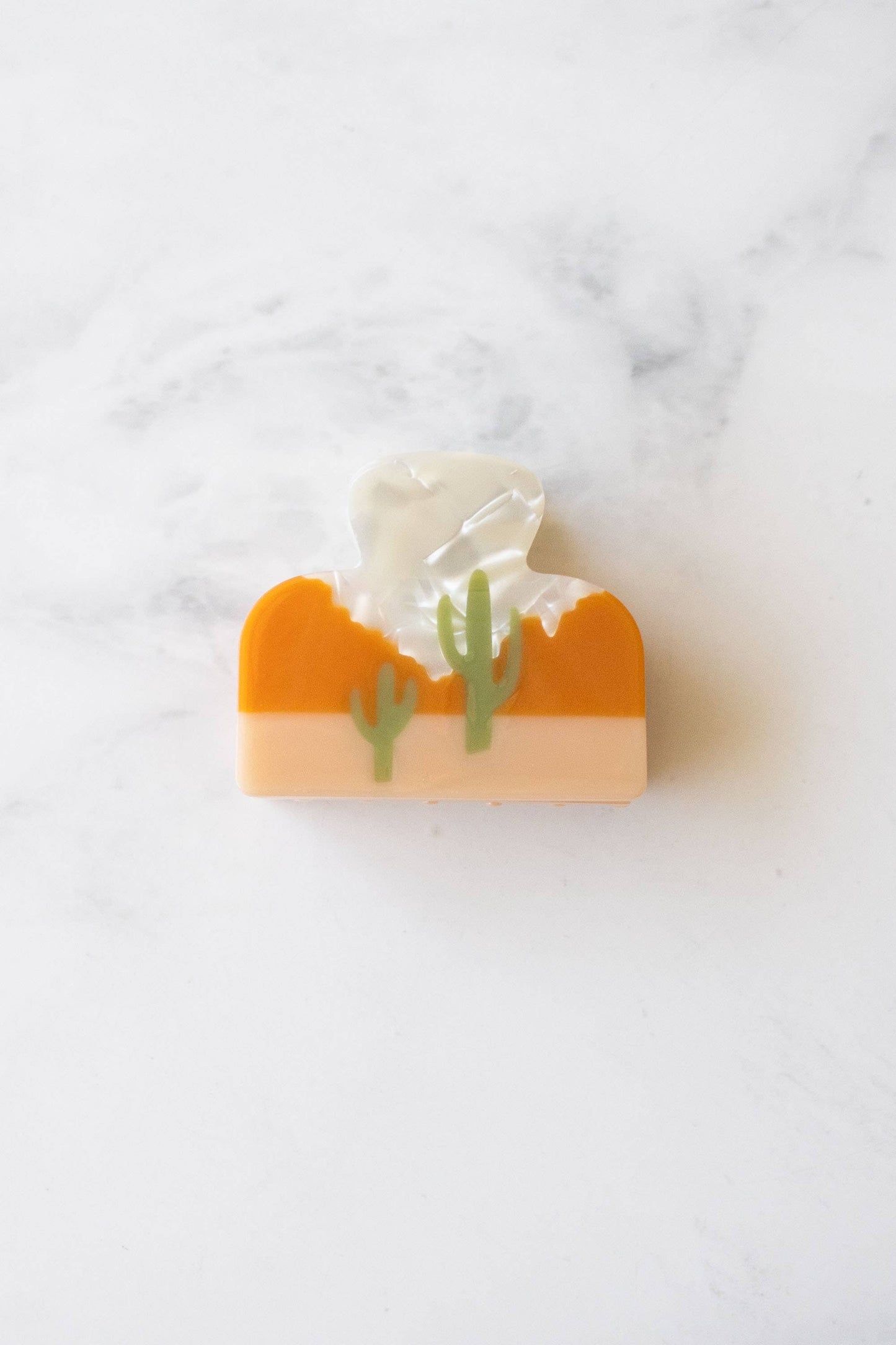 Desert Cactus Hair Clip